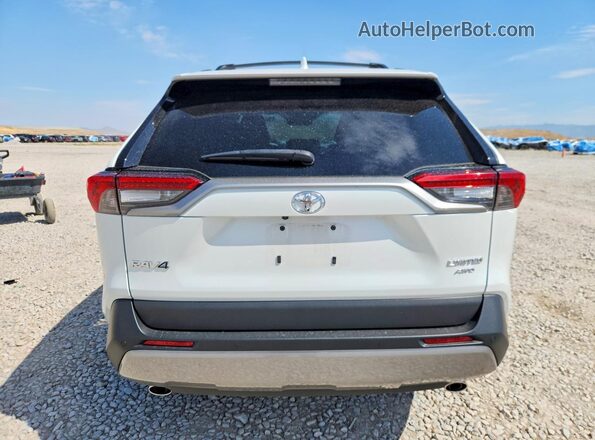 2T3N1RFV1PW407079 2023 TOYOTA RAV4 White Հետևի տեսք