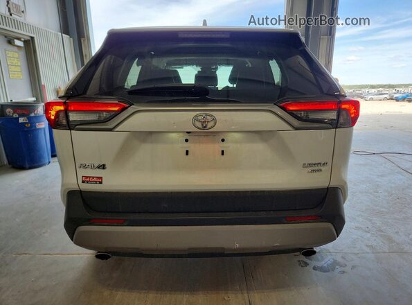 2T3N1RFV7SW524397 2025 TOYOTA RAV4 White Вид ззаду