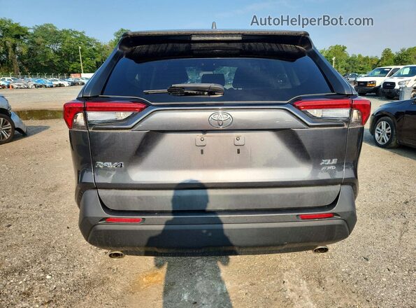 2T3P1RFV0LC138304 2020 TOYOTA RAV4 Gray Вид ззаду