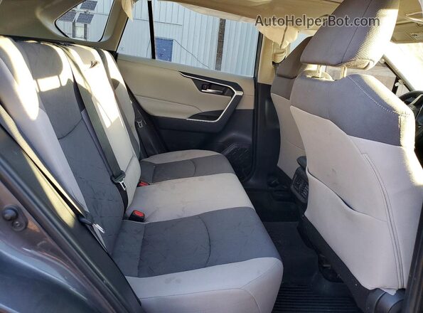 2T3P1RFV4LW124730 2020 TOYOTA RAV4 Gray Вид задньої частини салону
