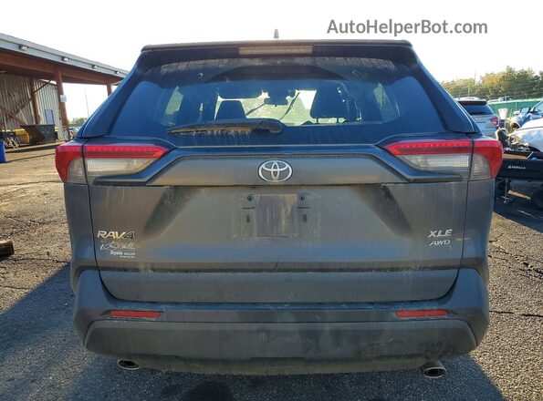 2T3P1RFV4LW124730 2020 TOYOTA RAV4 Gray Вид ззаду