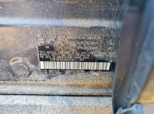 2T3P1RFV4LW124730 2020 TOYOTA RAV4 Gray Вид наклейки з VIN-кодом
