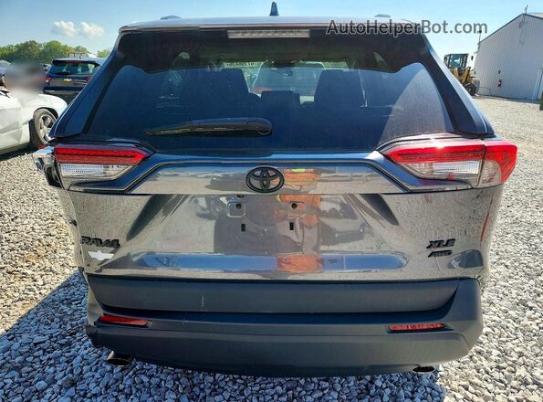2T3P1RFV5LC135124 2020 TOYOTA RAV4 Gray უკანა ხედი
