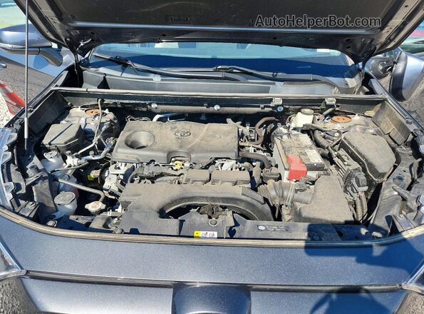 2T3P1RFV5LC135124 2020 TOYOTA RAV4 Gray უკანა სალონის ხედი