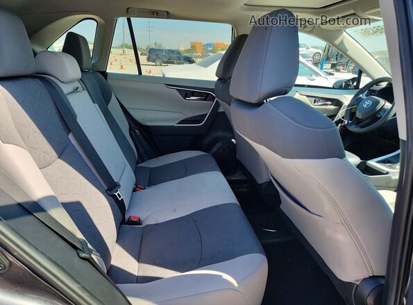 2T3P1RFV5LC135124 2020 TOYOTA RAV4 Gray უკანა სავარძლების ხედი