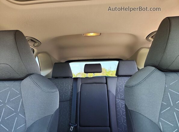 2T3P1RFV6LW122493 2020 TOYOTA RAV4 Серебряный Вид задних сидений