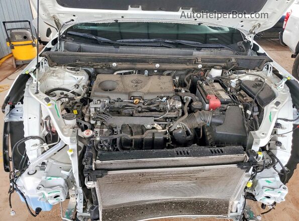 2T3P1RFV7SC508243 2025 TOYOTA RAV4 White Вид задньої частини салону
