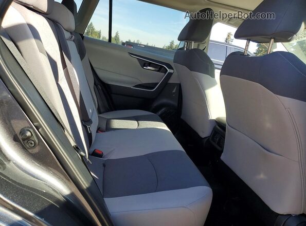 2T3P1RFV8LC119256 2020 TOYOTA RAV4 Серый Вид задней части салона