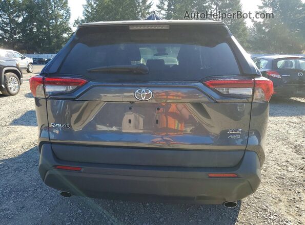 2T3P1RFV8LC119256 2020 TOYOTA RAV4 Серый Вид сзади