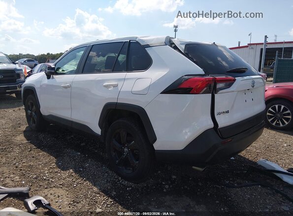 2T3P1RFV8LW097421 2020 TOYOTA RAV4 White Задня ліва чверть