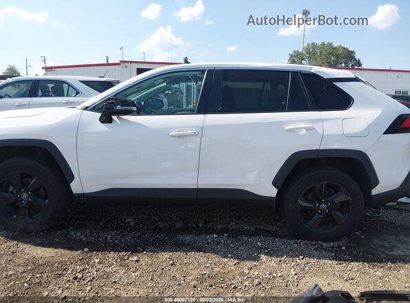 2T3P1RFV8LW097421 2020 TOYOTA RAV4 White 