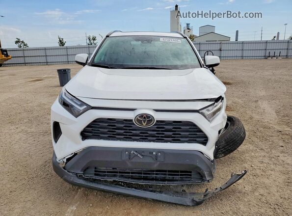2T3P1RFV9PC336191 2023 TOYOTA RAV4 White Vista frontal