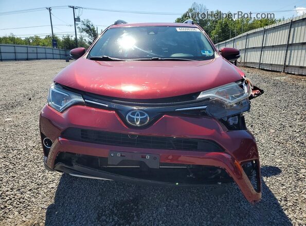 2T3RFREV1JW741219 2018 TOYOTA RAV4 Maroon Դիմացի տեսք