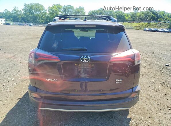 2T3RFREV8GW450113 2016 TOYOTA RAV4 Maroon Vista trasera