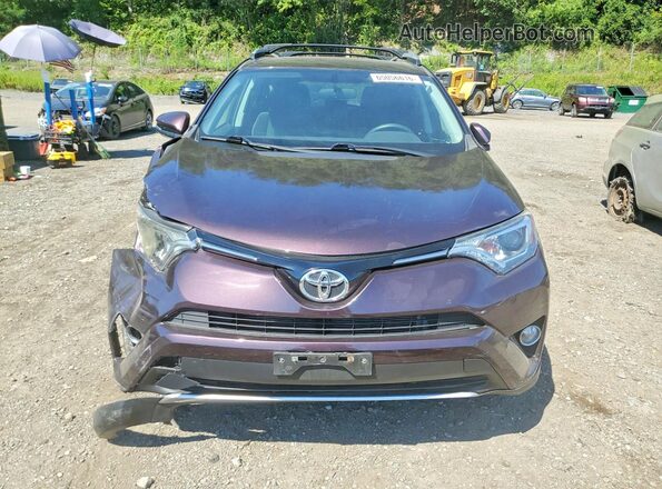 2T3RFREV8GW450113 2016 TOYOTA RAV4 Maroon Vista frontal