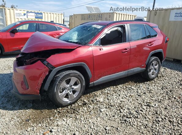 2T3RWRFV1SW258703 2025 TOYOTA RAV4 Красный 