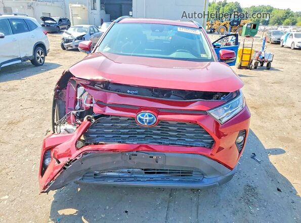 2T3RWRFV3MW128635 2021 TOYOTA RAV4 Red Front view