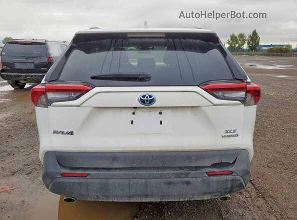 2T3RWRFV4PW171594 2023 TOYOTA RAV4 White Հետևի տեսք