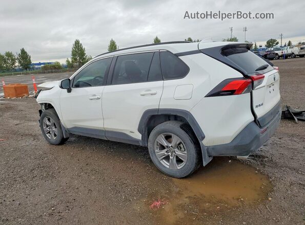 2T3RWRFV4PW171594 2023 TOYOTA RAV4 White Հետևի ձախ