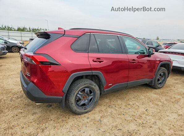 2T3RWRFV5LW101225 2020 TOYOTA RAV4 Темно-бордовый Задняя правая четверть