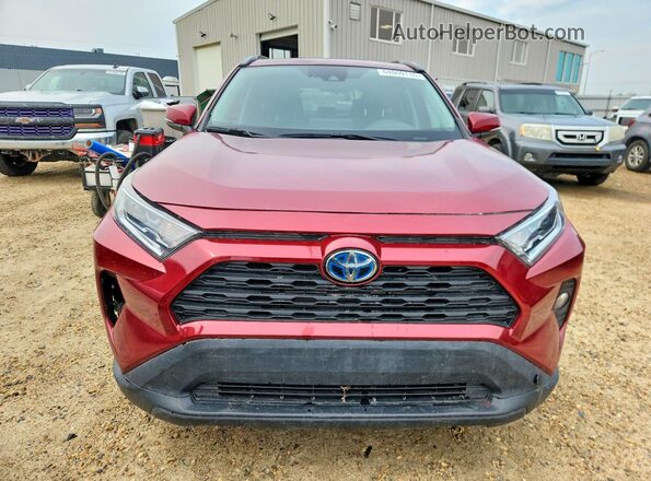 2T3RWRFV5LW101225 2020 TOYOTA RAV4 Темно-бордовый Вид спереди