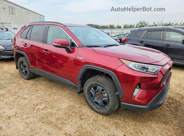 2T3RWRFV5LW101225 2020 TOYOTA RAV4 Темно-бордовый Передняя правая четверть