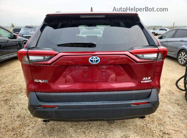 2T3RWRFV5LW101225 2020 TOYOTA RAV4 Темно-бордовый Вид сзади