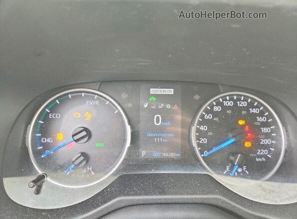 2T3RWRFV5LW101225 2020 TOYOTA RAV4 Темно-бордовый Вид щитка приборов