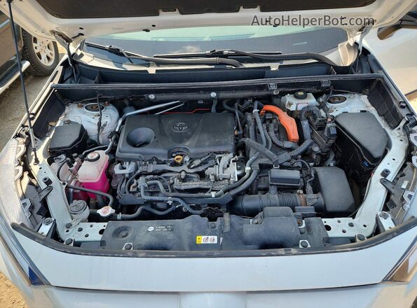 2T3RWRFV6MW102868 2021 TOYOTA RAV4 White Vista del compartimento del motor