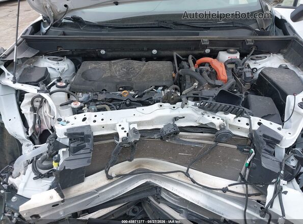 2T3RWRFVXSW266976 2025 TOYOTA RAV4 HYBRID White Вид ззаду