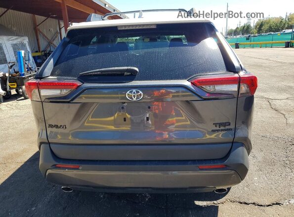 2T3S1RFV7PW355265 2023 TOYOTA RAV4 Gray Widok z tyłu