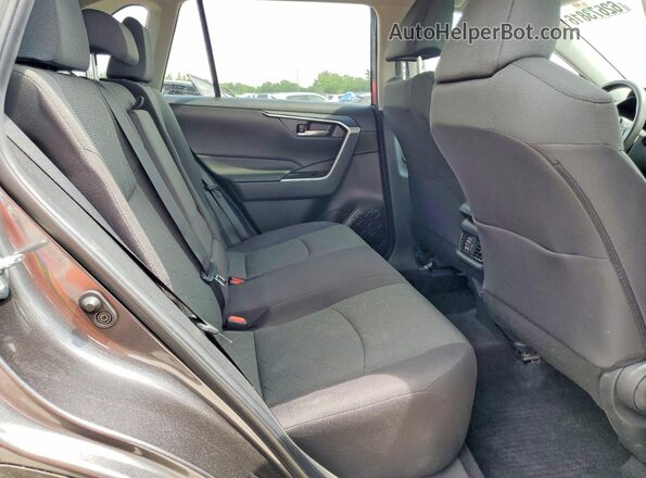 2T3W1RFV0PC240557 2023 TOYOTA RAV4 Серый Вид задней части салона