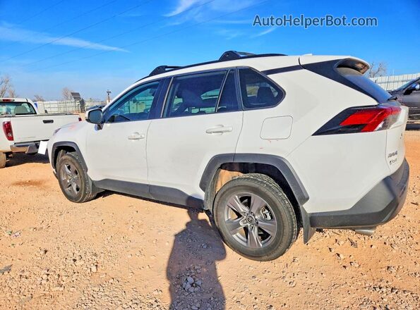 2T3W1RFV0RW315436 2024 TOYOTA RAV4 Белый Задняя левая четверть