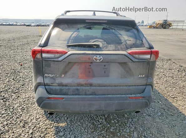 2T3W1RFV4LW072575 2020 TOYOTA RAV4 Угольный Вид сзади
