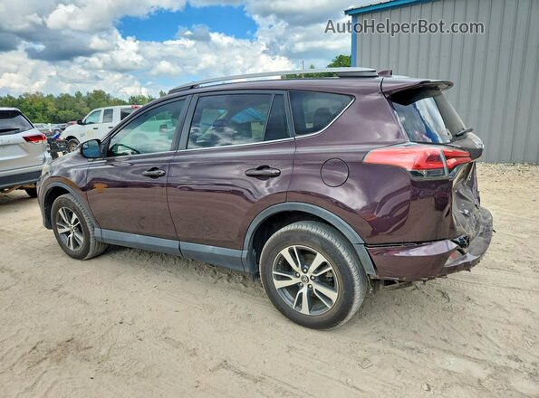 2T3WFREV9HW338876 2017 TOYOTA RAV4 Purple Rear left