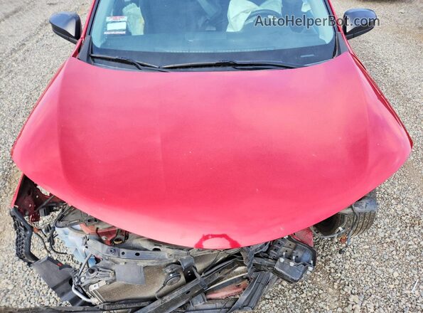 2T3ZFREV0GW263724 2016 TOYOTA RAV4 Красный Вид подкапотного пространства