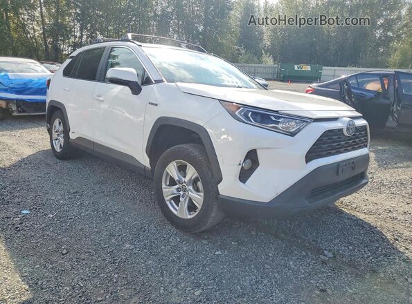 2T3RWRFV8LW072092 2020 TOYOTA RAV4 White Դիմացի տեսք