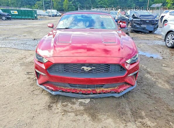 1FATP8UHXJ5113536 2018 FORD MUSTANG Red Вид ззаду