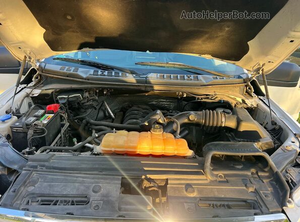 1FTFW1EFXHFA14234 2017 FORD F150 White Սալոնի դիմացի տեսք
