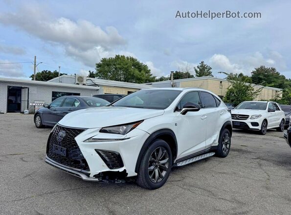 JTJJARBZ1L5009439 2020 LEXUS NX Белый Задняя правая четверть