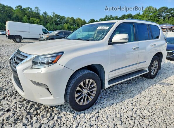 JTJJM7FX0J5186503 2018 LEXUS GX White Tył lewy