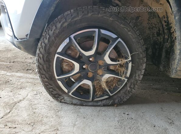 3C4NJDDN5ST564524 2025 JEEP COMPASS White 
