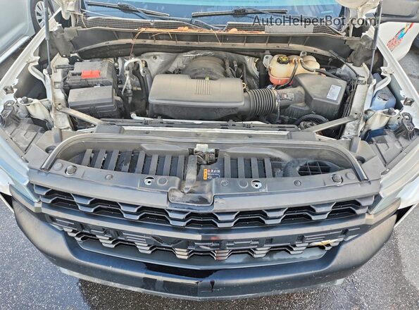 3GCNWAEHXKG210130 2019 CHEVROLET SILVERADO Белый Вид задней части салона
