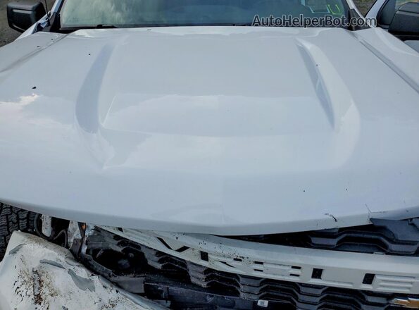 3GCPYBEKXMG295798 2021 CHEVROLET SILVERADO Белый Вид задней части салона