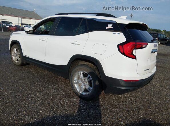3GKALMEV9ML359237 2021 GMC TERRAIN Белый Задняя левая четверть