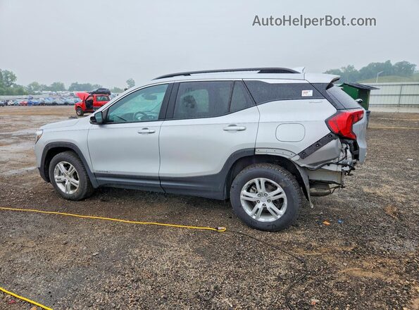 3GKALTEV4LL154983 2020 GMC TERRAIN Silver Trasero izquierdo