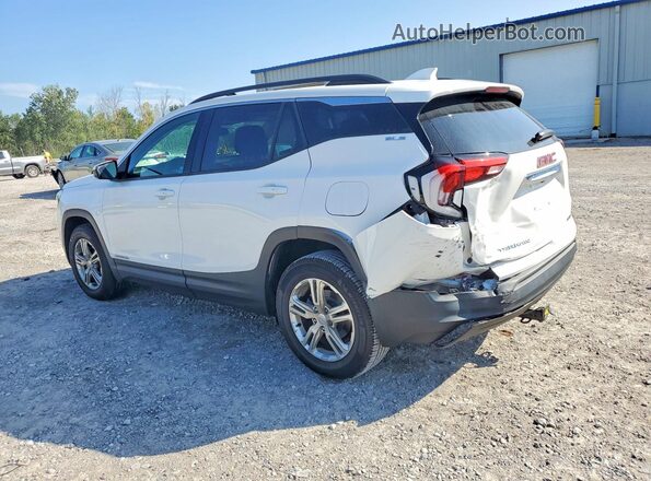 3GKALTEV9KL306285 2019 GMC TERRAIN White Задня ліва чверть