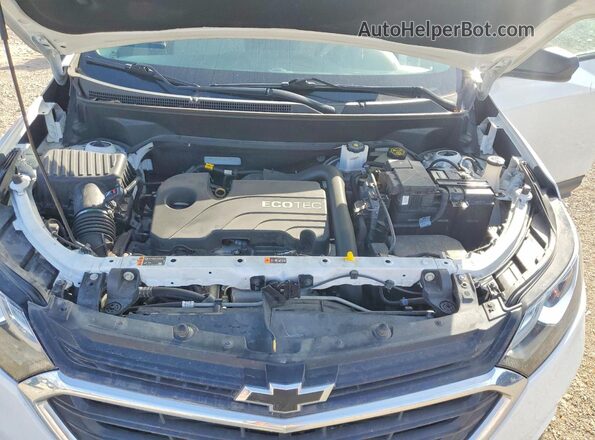 3GNAXHEV4LS671484 2020 CHEVROLET EQUINOX White Widok wnętrza z tyłu