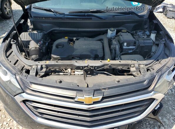 3GNAXSEV2KL225503 2019 CHEVROLET EQUINOX Gray Սալոնի հետևի տեսք