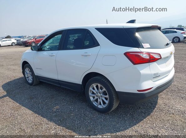 3GNAXSEV2LS685381 2020 CHEVROLET EQUINOX White Tył lewy